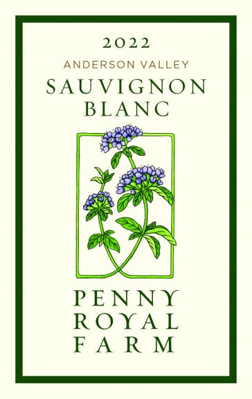 Photo for: Sauvignon Blanc